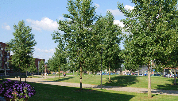 Buurtpark Leesten-Oost Zutphen