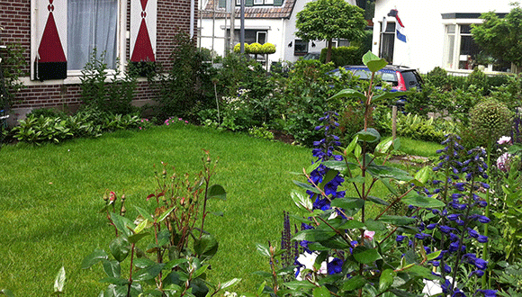 Tuin Driebergen